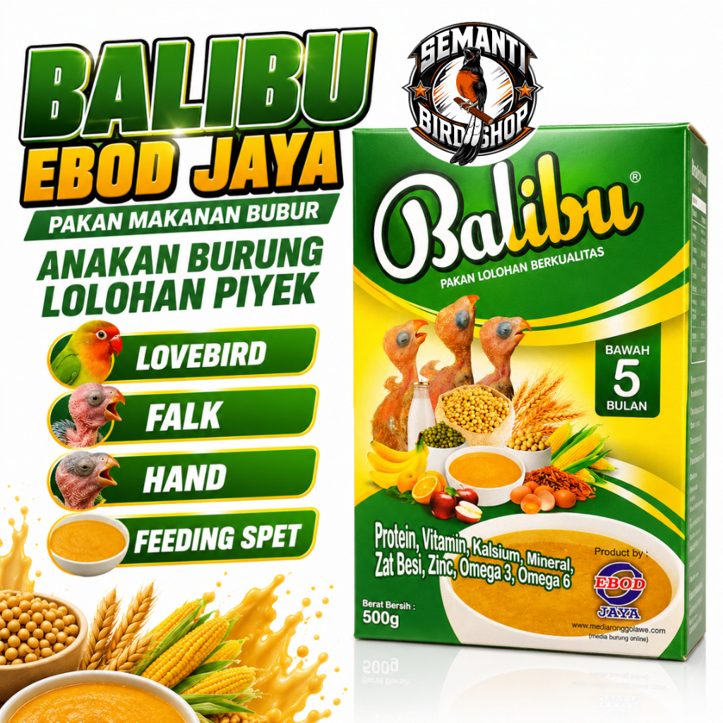 BALIBU EBOD JAYA PAKAN MAKANAN BUBUR ANAKAN BURUNG LOLOHAN PIYEK LOVEBIRD FALK HAND FEEDING SPET