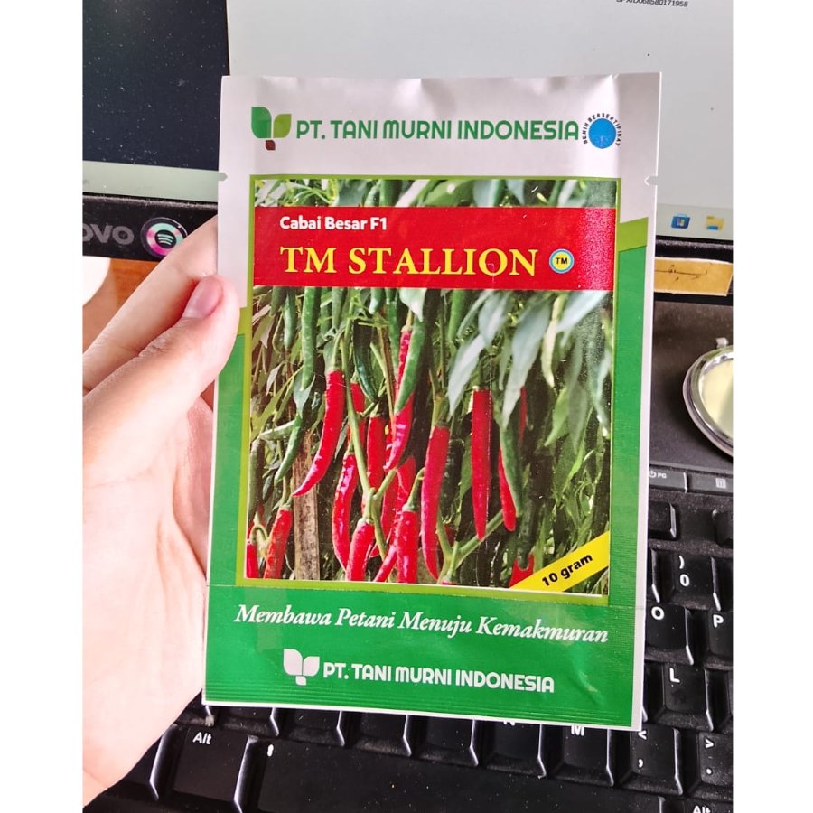 Benih Cabe Besar TM STALLION 10gram
