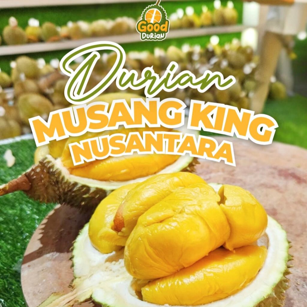 Durian Musang King Nusantara Fresh Utuh - Durian Musang King Good Durian