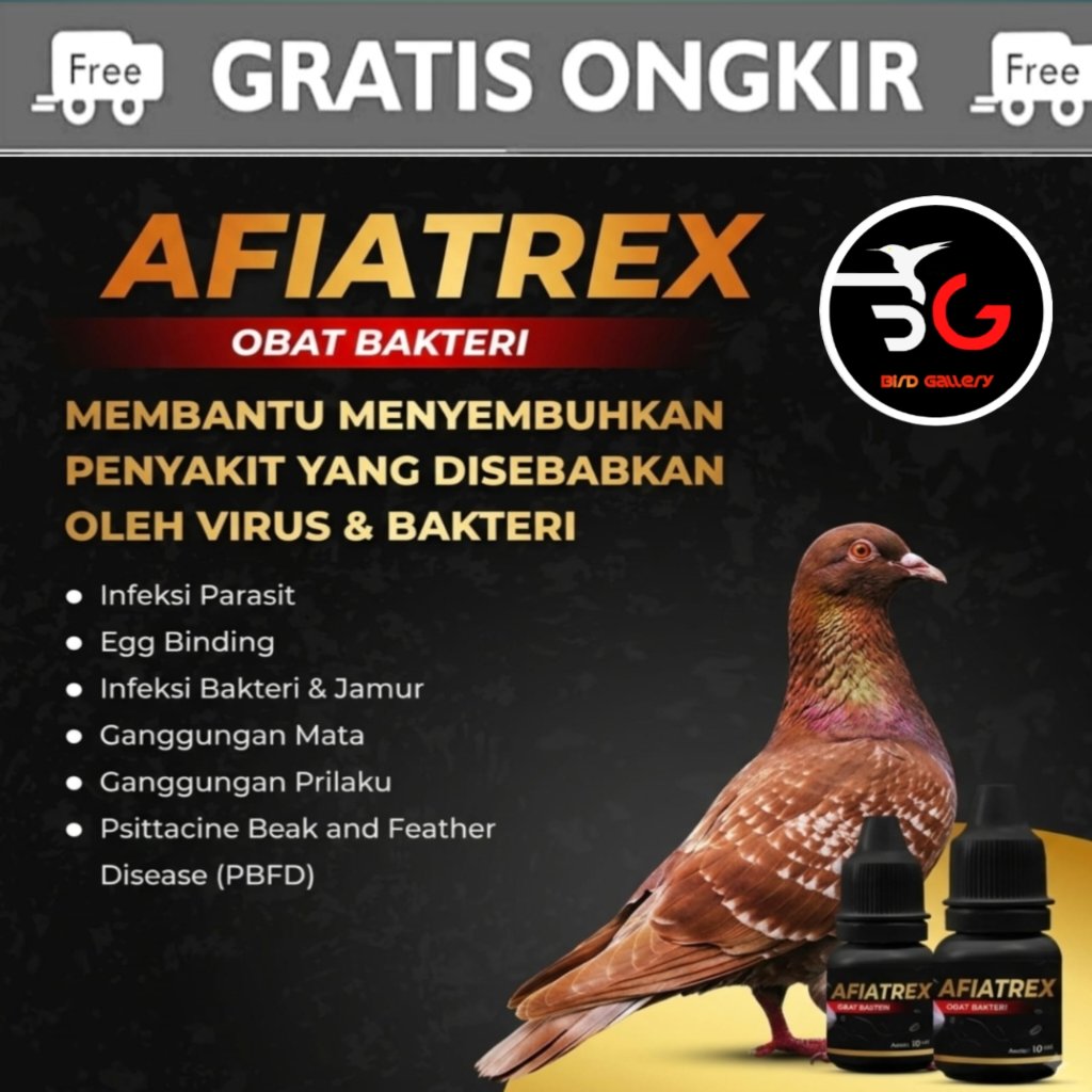 AFIATREX OBAT BURUNG MERPATI MENGOBATI BAKTERI DAN VIRUS BURUNG MERPATI PERNAPASAN MERPATI