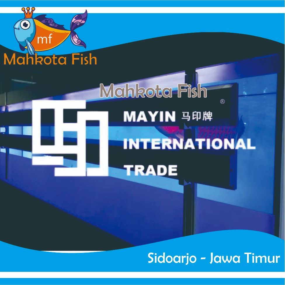 Lampu Atomic Tanning Mayin | Lampu Tanning Atomic Mayin | Mayin Lampu Tanning Atomik