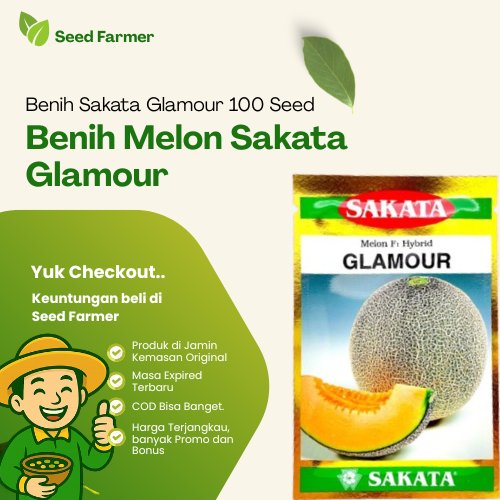 Benih Melon Sakata Glamour 100 Seed Sakata Melon F1 Hybrid Original Pabrik
