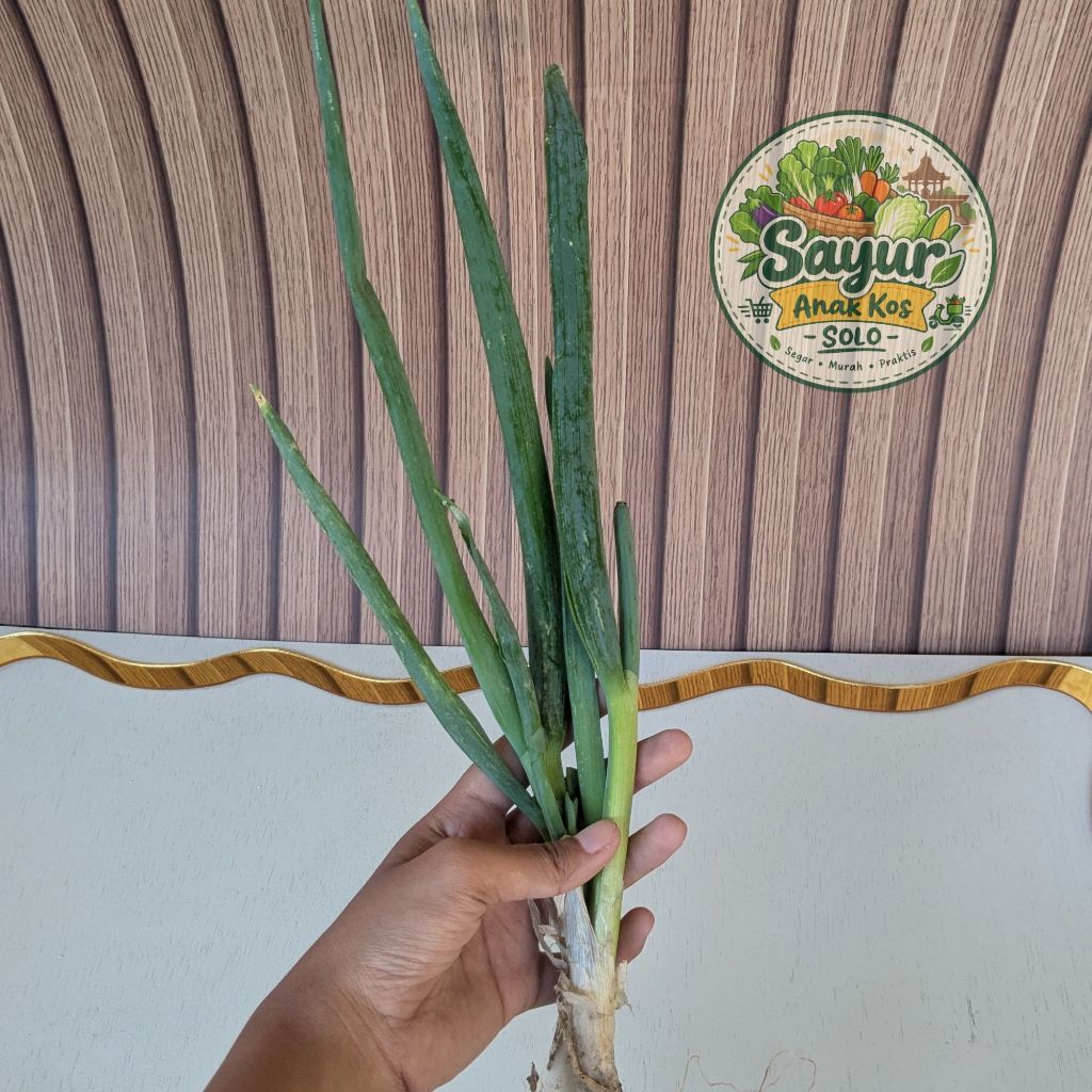 Daun Bawang Segar - Sayur Anak Kos Solo