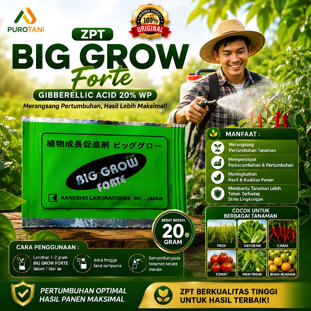 ZPT GA3 Jepang Big Grow Forte Gibberellic Acid 20 WP