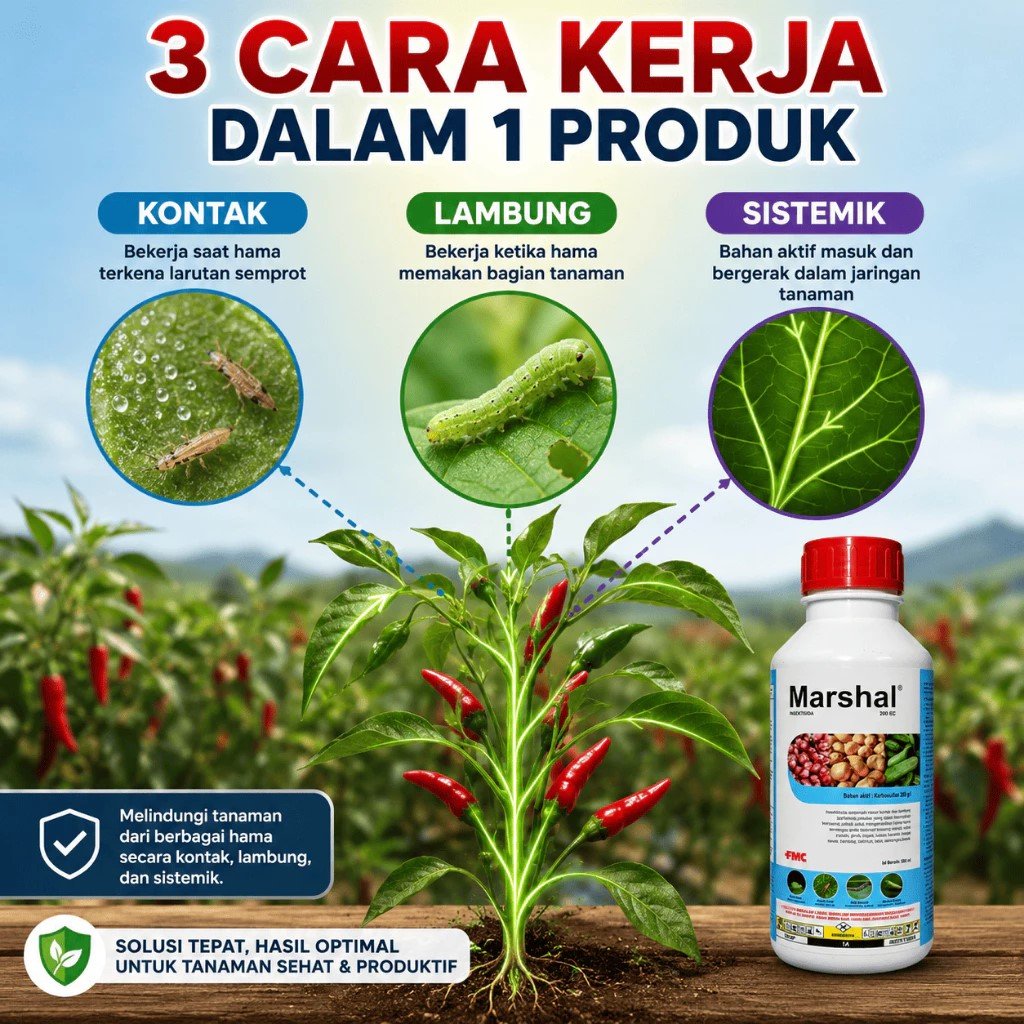 Marshal 200 EC 500 Ml Insektisida Akarisida Sistemik