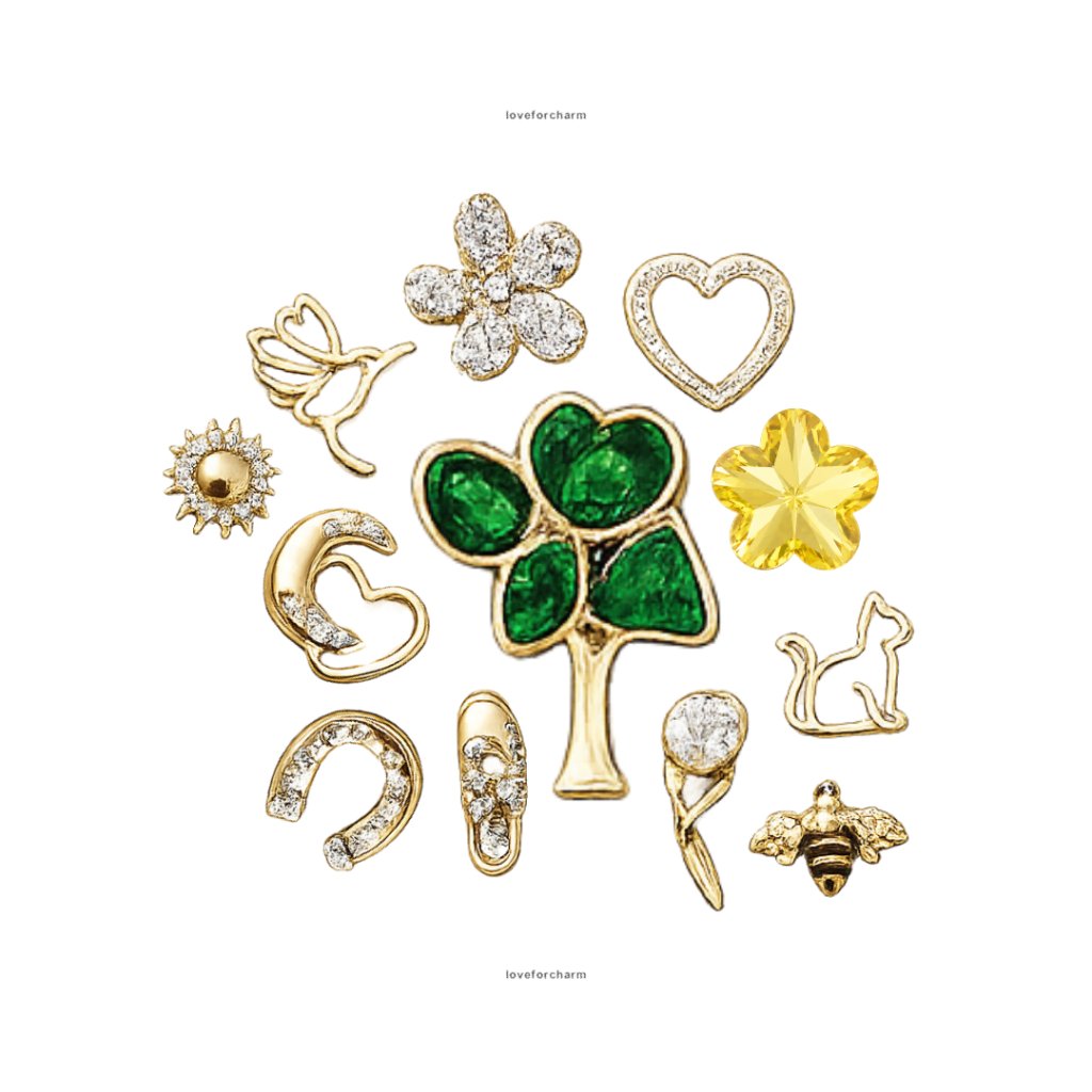 LOCKET CHARMS
