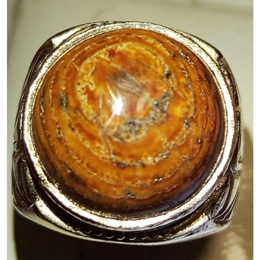 SISIK ULAR_JIPEN PUSER | Ring 9