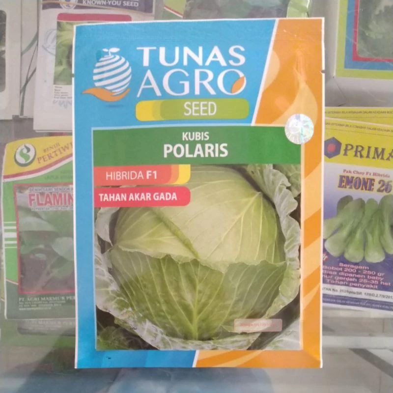 ORIGINAL Benih Kubis Hijau POLARIS 20 Gram Tunas Agro Seed