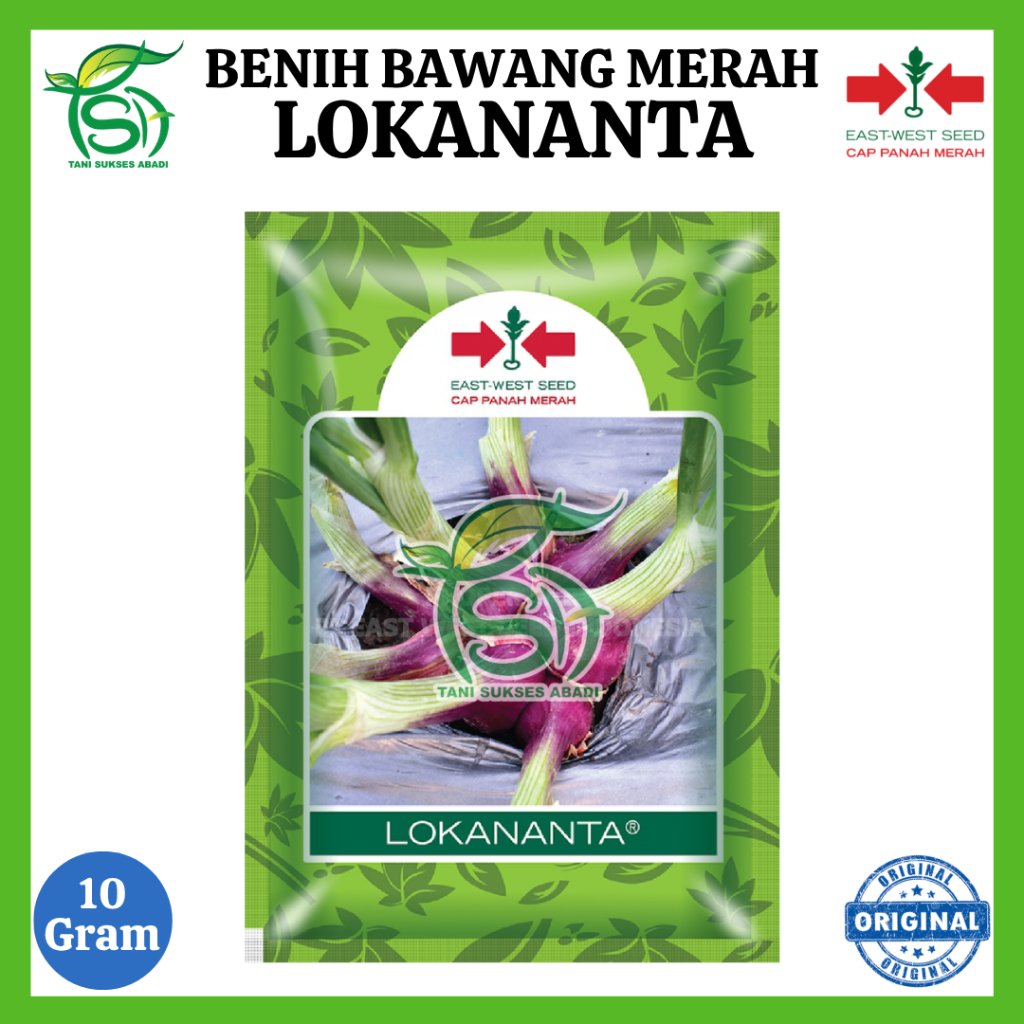 Benih Bawang Merah LOKANANTA - 10 Gram - Cap Panah Merah - 100% ORIGINAL