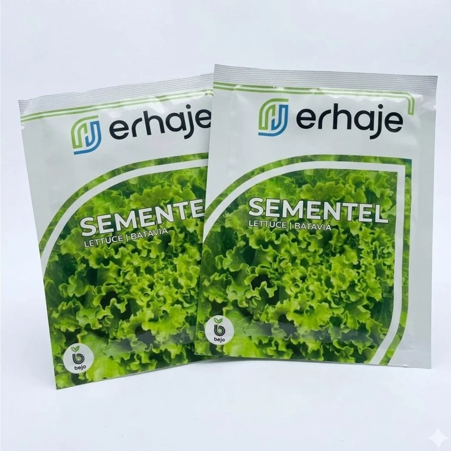 Benih Bibit Selada Sementel 1000 Biji Bejo Batavia Lettuce Hidroponik / Benih Selada Bejo Sementel