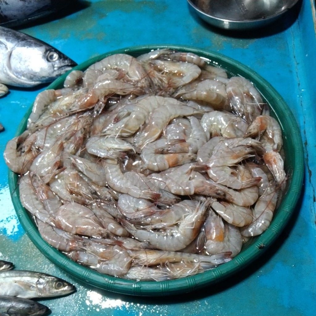 UDANG BESAR