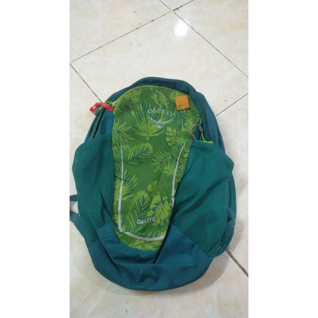 Daylite kid osprey