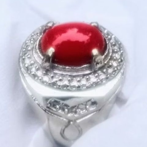 Natural Marjan Laut Merah HQ