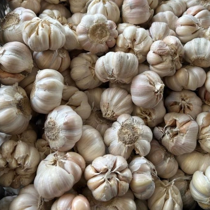 Bawang Putim Honam sinco Bersih siap pakai
