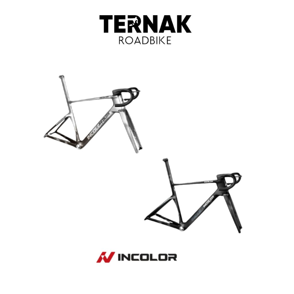 Frameset Roadbike INCOLOR SSR