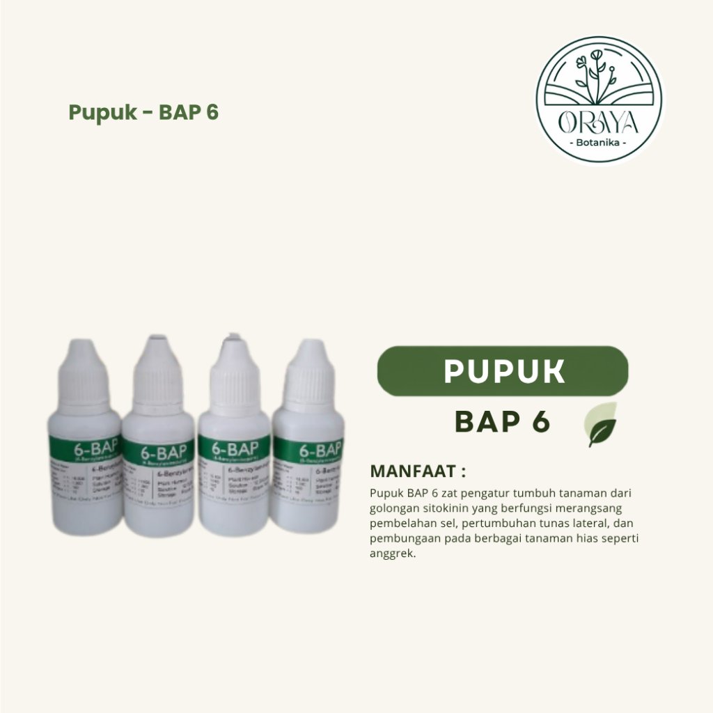 ORAYABOTANIKA | Pupuk 6 BAP Anggrek