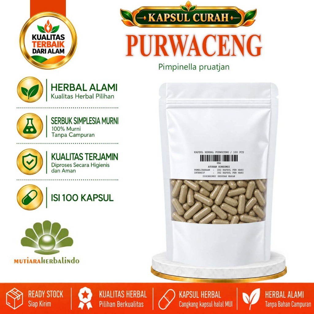 Kapsul Purwaceng Purwoceng Curah Herbal 200 Kapsul 600 mg Pimpinella pruatjan