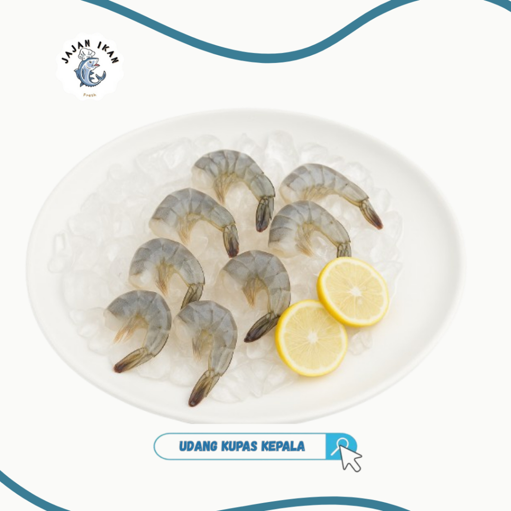 

Udang Segar [JAJAN IKAN] Udang Vaname Seafood segar