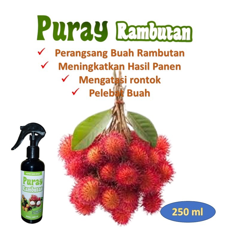 Pupuk rambutan / pupuk rambutan cepat berbuah / booster rambutan / pupuk buah lebat / pupuk buah