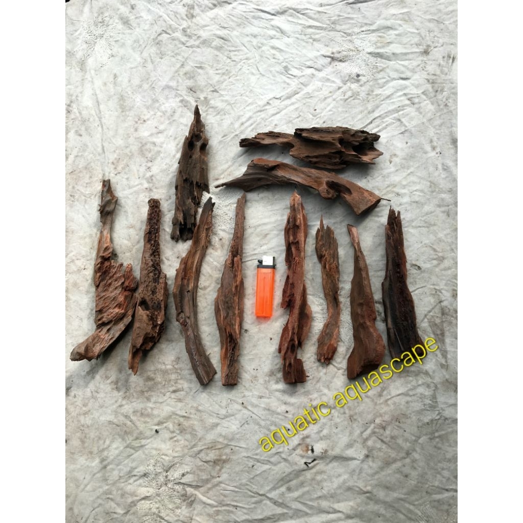 kayu rentek mini meruncing untuk dekorasi aquascape 1pics