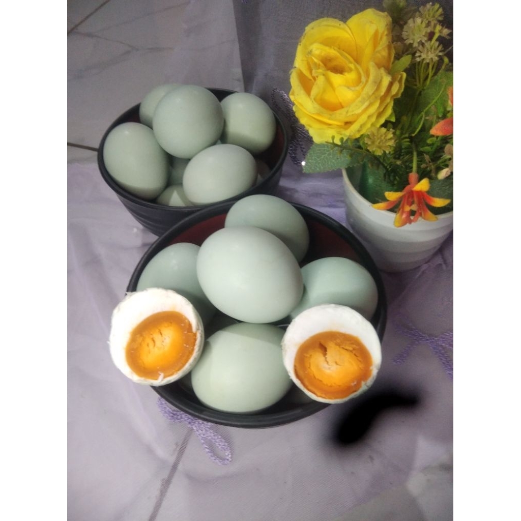 

TELUR ASIN ASLI