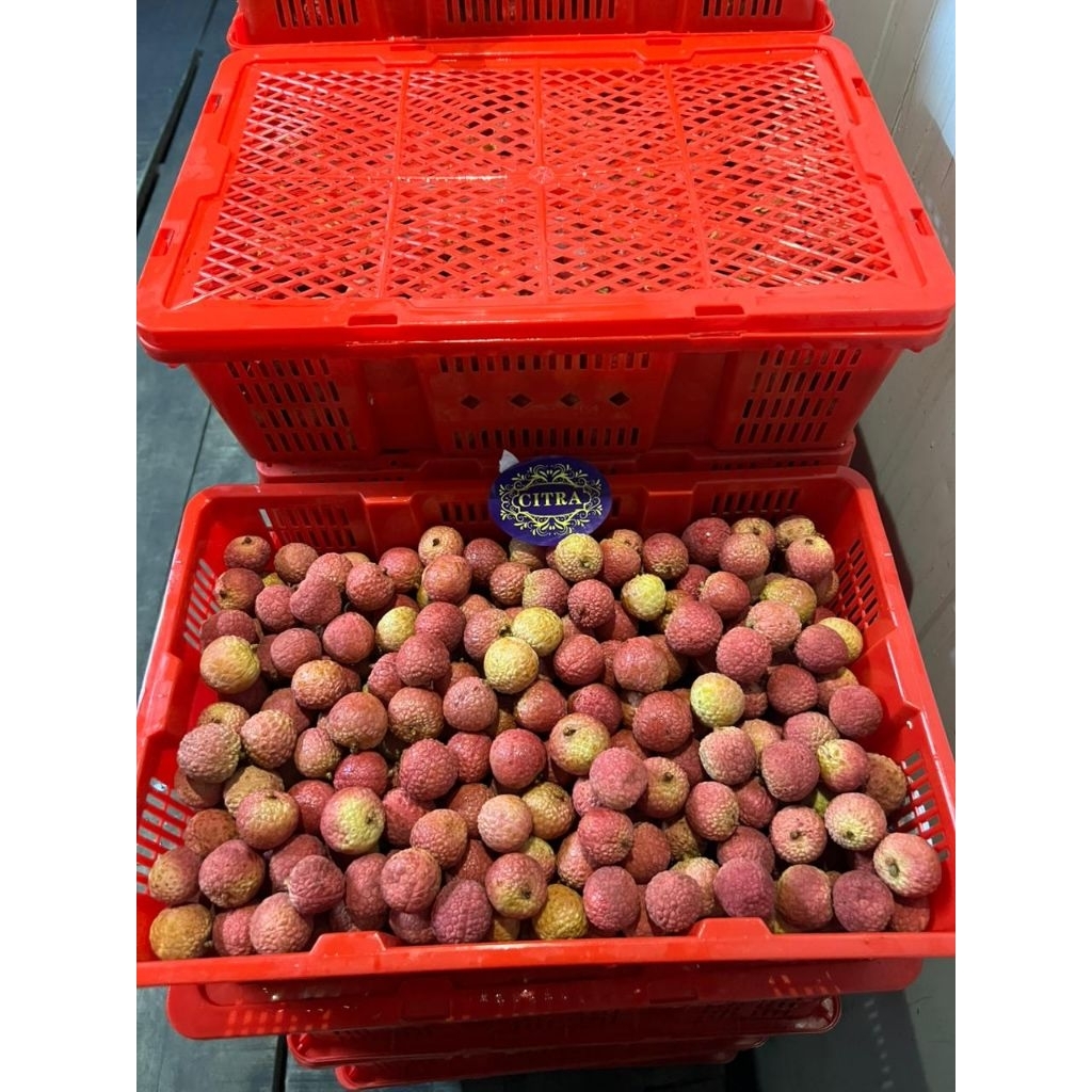 

Buah Leci Merah 1 Keranjang 6Kg