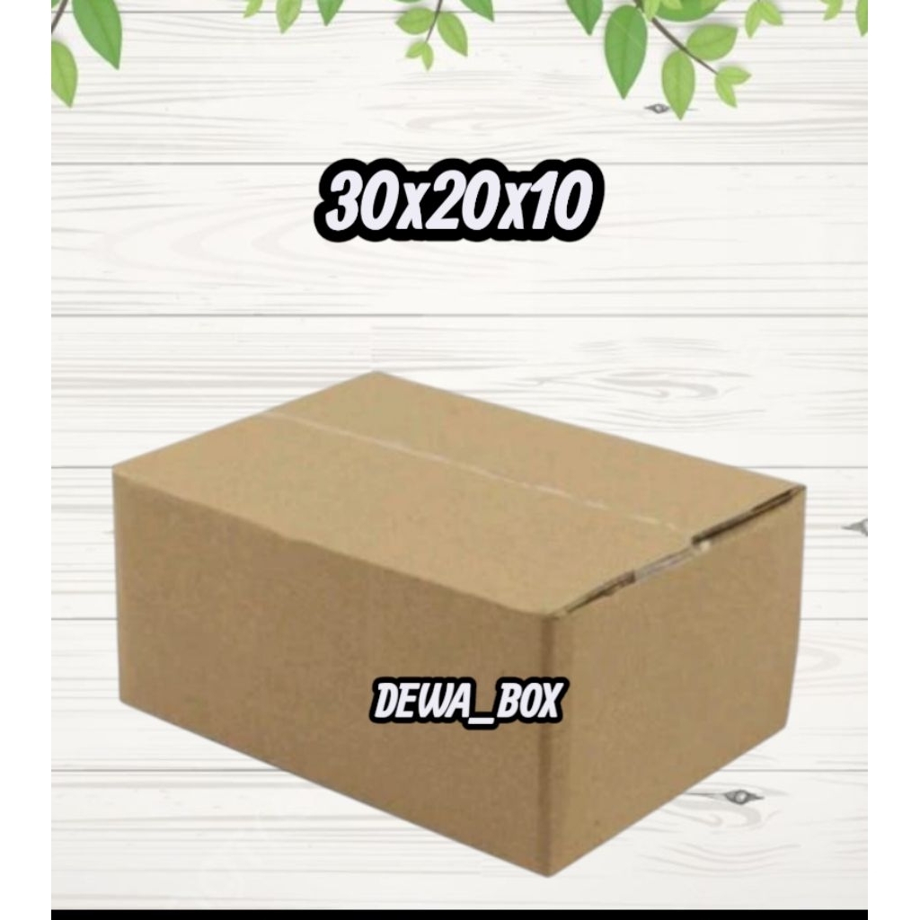 

kardus_box_packing_30x20x10