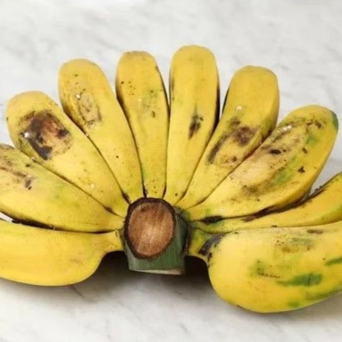 

Pisang Kepok/Batu Besar 1sisir