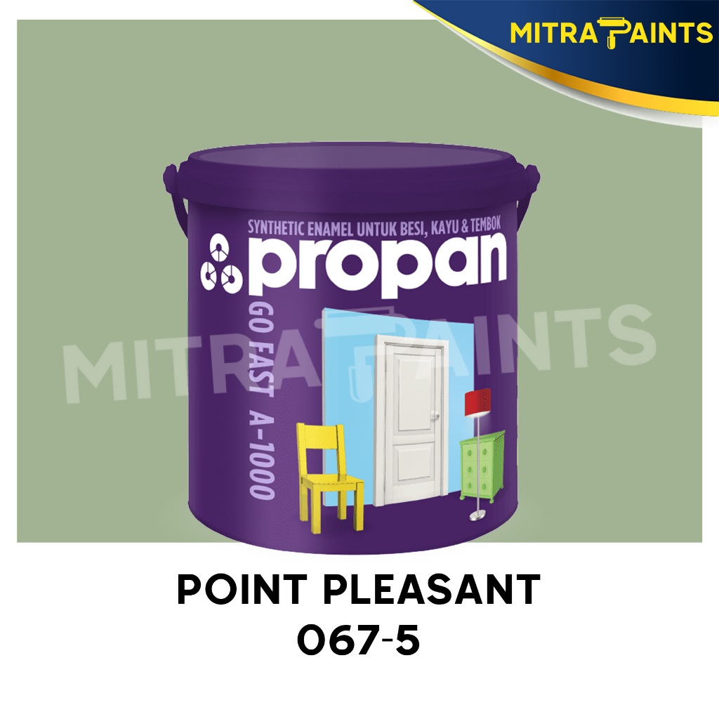 CUSTOM WARNA PROPAN GO FAST 2,5 LITER POINT PLEASANT 067-5 / CAT KAYU BESI PROPAN WATERBASED GLOSS A