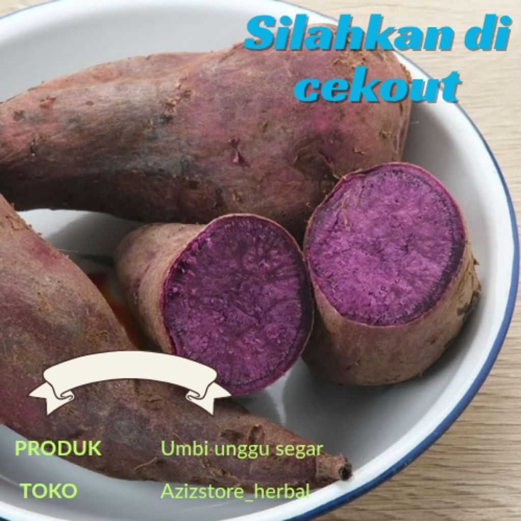 

umbi unggu segar/umbi jalar unggu berat 1 kg