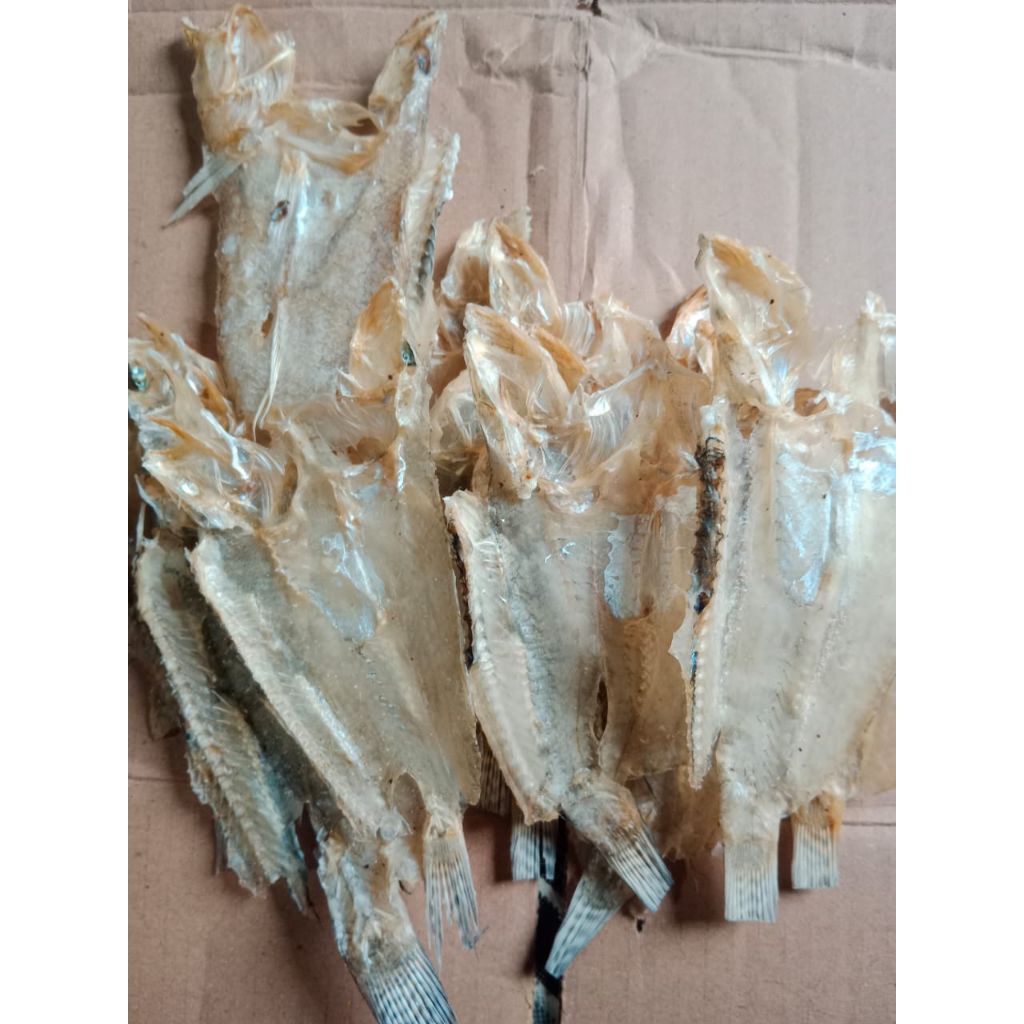 

ikan kering bungo,ikan kering kertas danau tempe