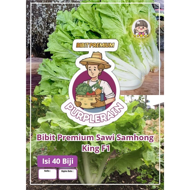 Bibit Premium Sawi Samhong King F1  | Biji Benih Sawi Samhong King |Sawi Samhong King