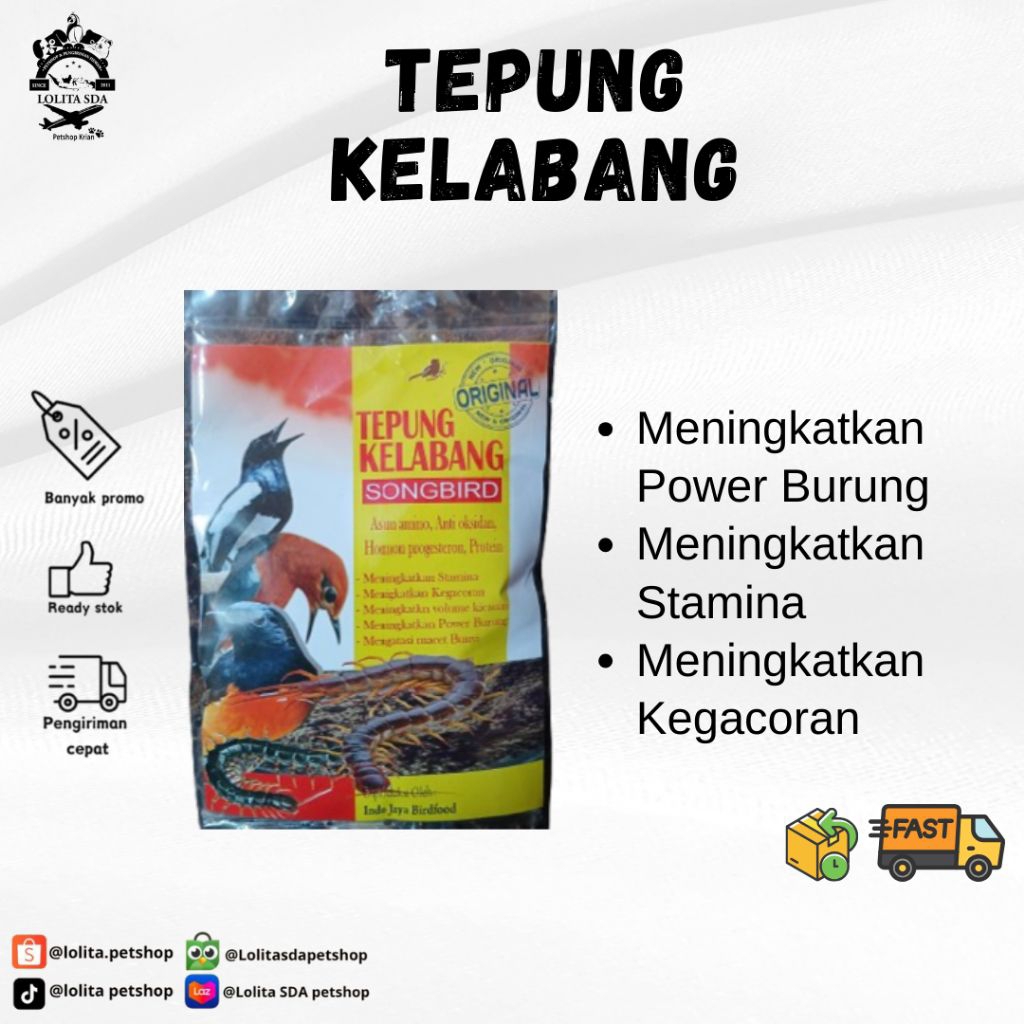 

Jual TEPUNG KELABANG SONGBIRD