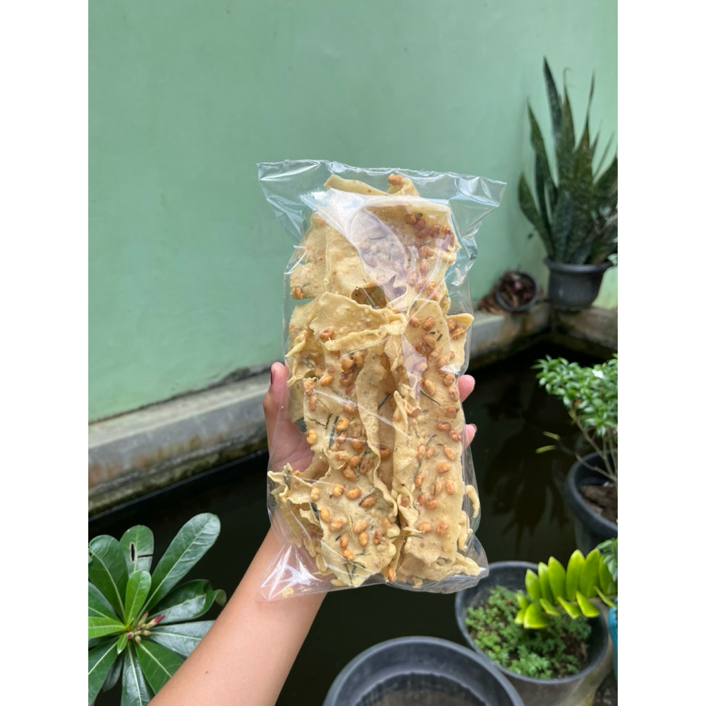 

peyek kacang kedelai Satuan