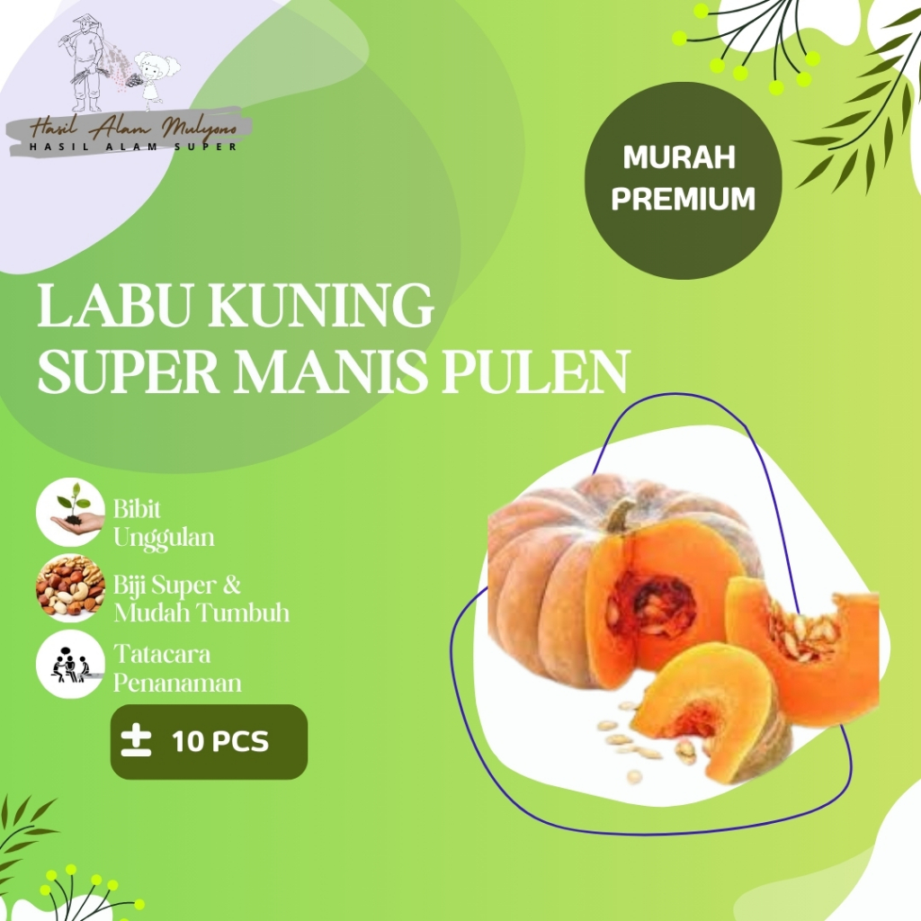 ( 10 Butir ) Benih biji labu | labu kuning | benih waluh | waluh besar | waloh kuning | Bibit Buah