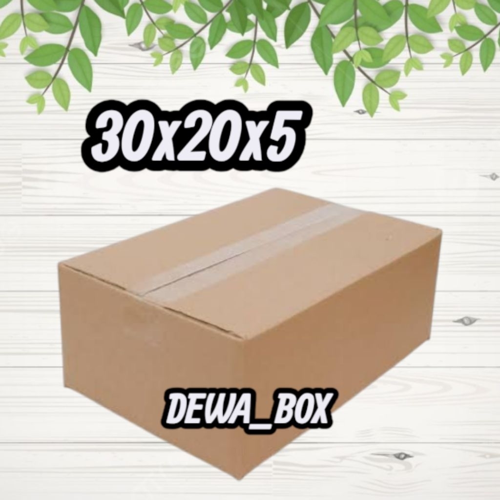 

kardus_box_packing_30x20x5