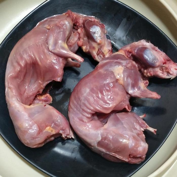 

Daging Marmut Karkas tanpa kepala 1 ekor