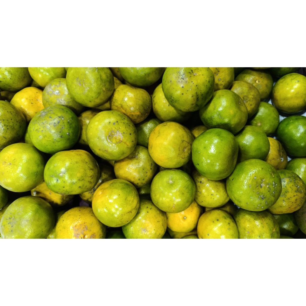 

kirim instan buah keruk pontianak 1kg