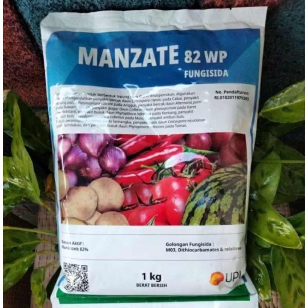 MANZATE 82 WP 1KG