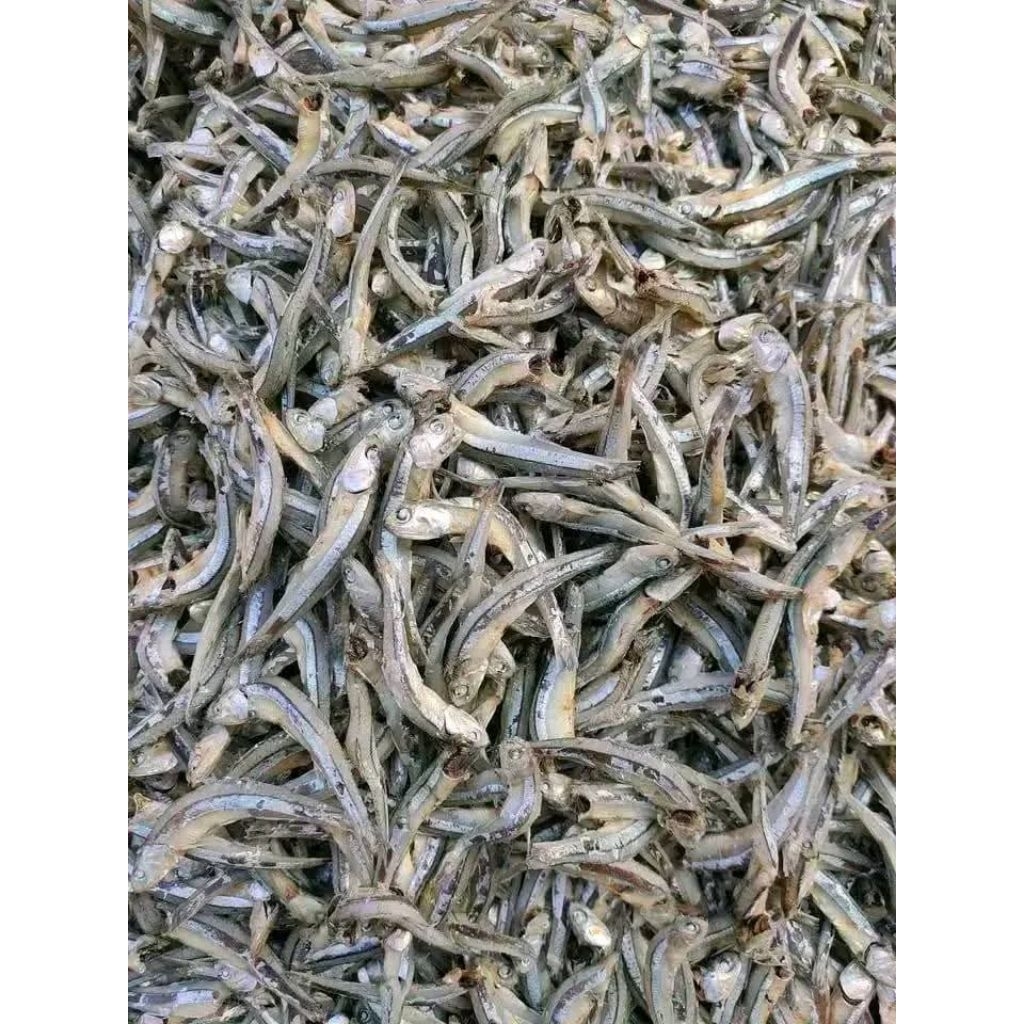 

Teri Kacang Kasar Asli Medang Medan – Teri Kering Gurih Berkualitas