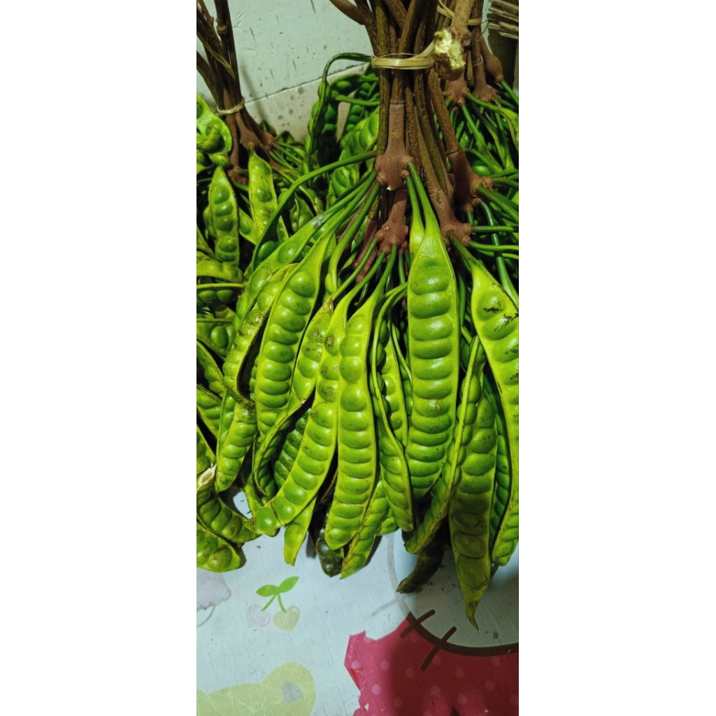 

Pete SEDANG dapatnya 10 papan