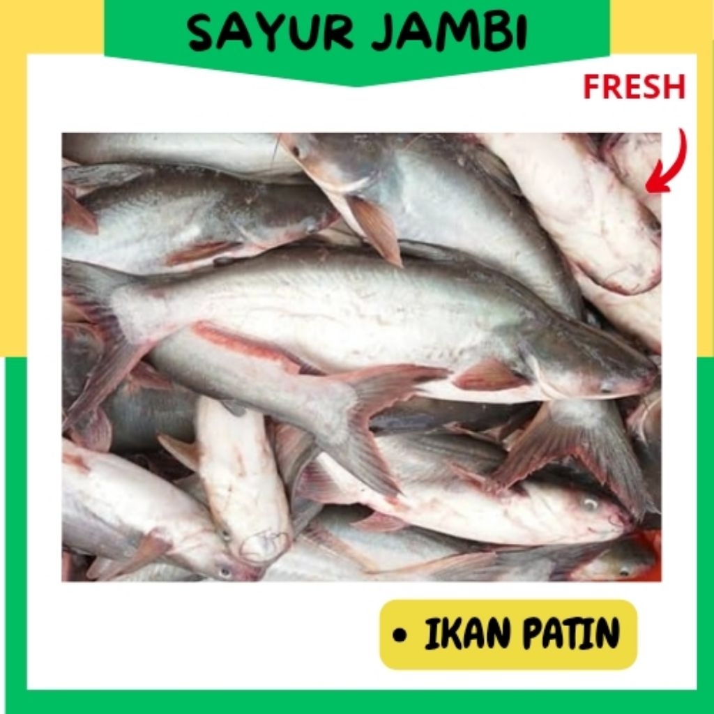 

INSTAN Ikan Patin~sayurjambi