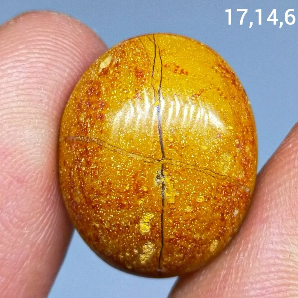 batu akik asli tapak jalak badar asem antik top hq natural (asli alam)