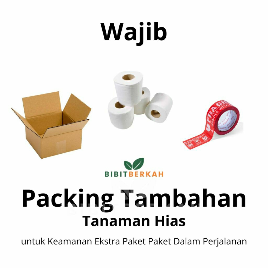 

Packing Kardus Tebal + Tisu + Lakban Fargile untuk Orderan Tanaman di Bibit Berkah