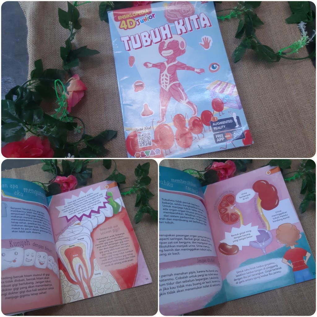 Tubuh Kita Ensiklopedia 4D Junior buku anak bekas second preloved
