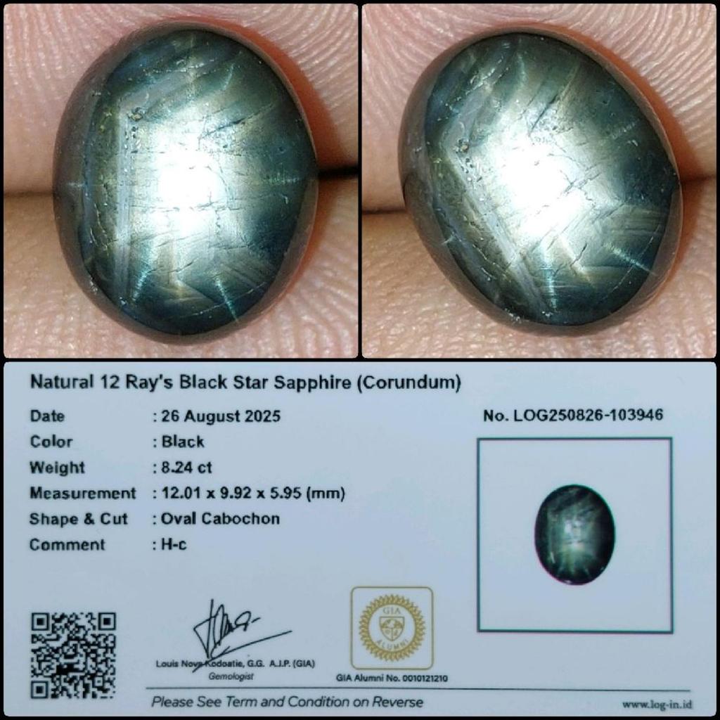 Natural 12 Ray Star Black Sapphire Good Star Gems Batu Permata Safir Bintang Hitam Asli Garansi
