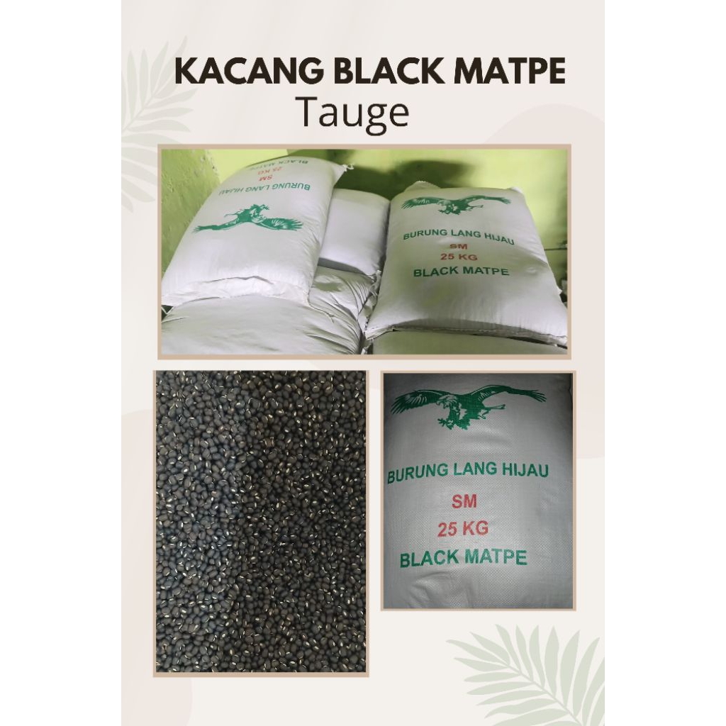 

Kacang Tauge Black Matpe Cap Burung Lang Hijau 1kg