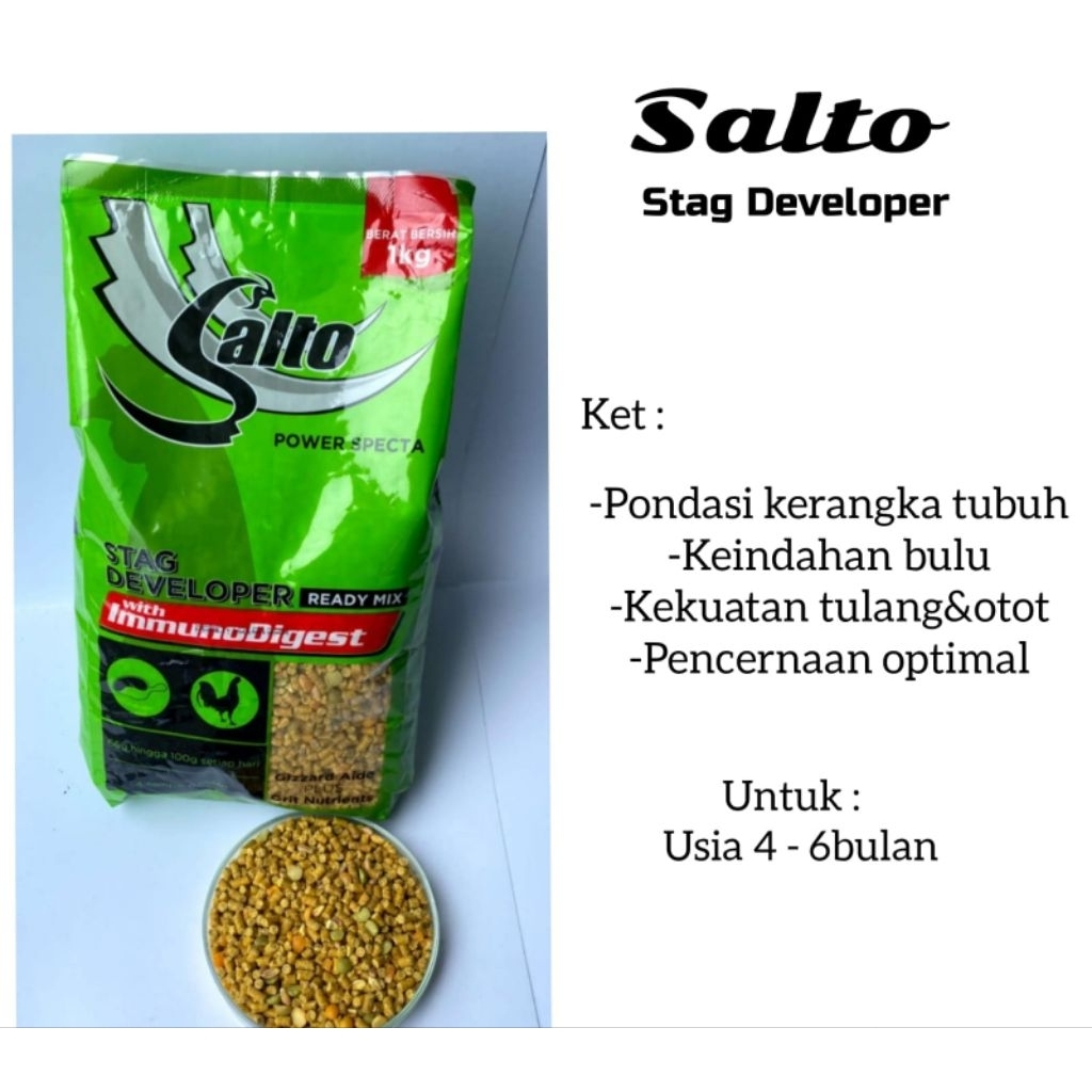 Salto Stag Developer