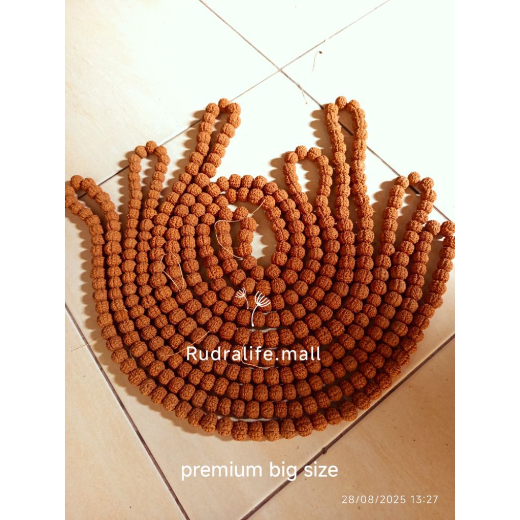 kalung Jenitri asli Besar