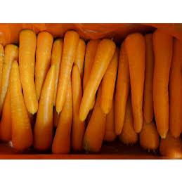 

Sayur Wortel Fresh Brastagi 500gr | Sayur Segar